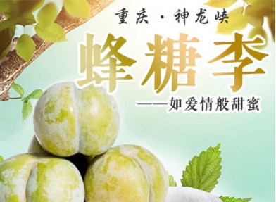 预售：神龙峡蜂糖李 新鲜水果李子 现采现发 大重庆顺丰包邮