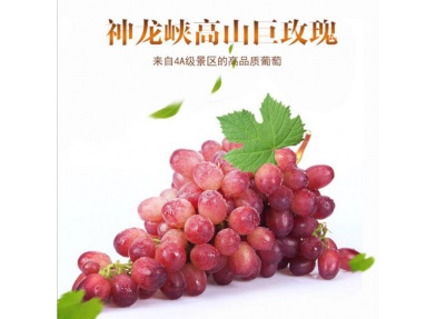 神龙峡高山巨玫瑰 新鲜水果 高山葡萄 配送仅限重庆主城及南川市区 包邮