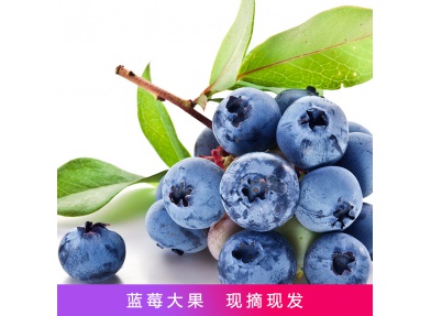 现摘现发 蓝莓鲜果 蓝宝石 3斤装 新鲜水果 小孩孕妇 限南川城区