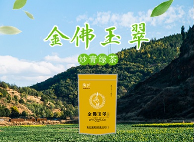 金佛玉翠 2023年新茶 袋装绿茶 瑞草茶叶 明前绿茶 250g/袋 南川土特产