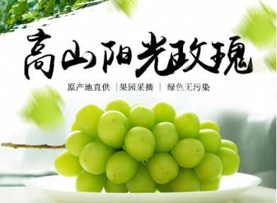 神龙峡阳光玫瑰 新鲜葡萄水果 高山水果  2.5kg 配送仅限重庆